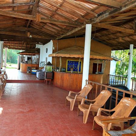 Darwins Beach Resort 坦加拉 外观 照片