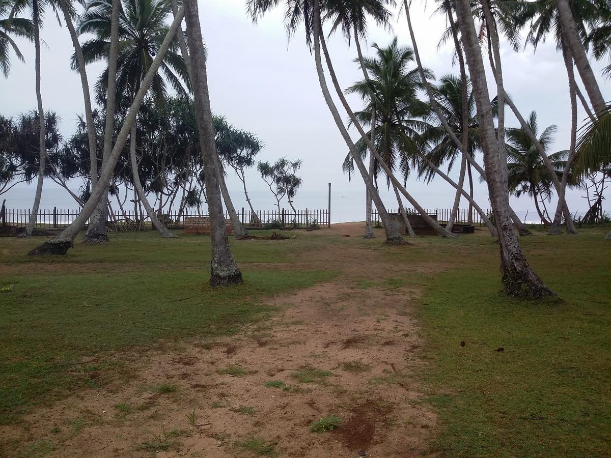 Darwins Beach Resort 坦加拉 外观 照片