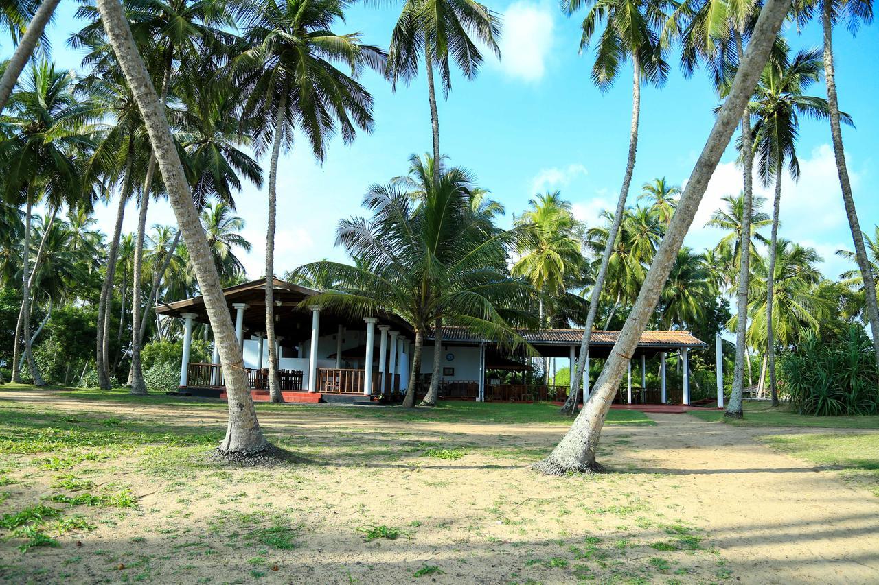 Darwins Beach Resort 坦加拉 外观 照片