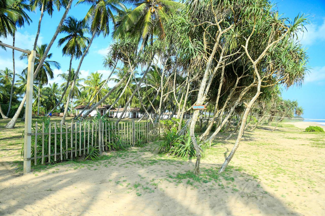 Darwins Beach Resort 坦加拉 外观 照片