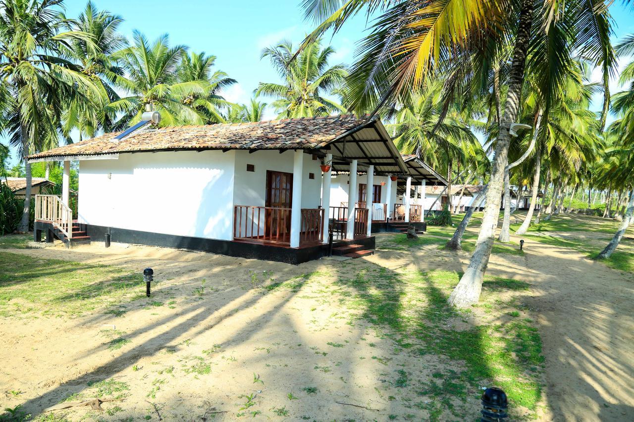 Darwins Beach Resort 坦加拉 外观 照片