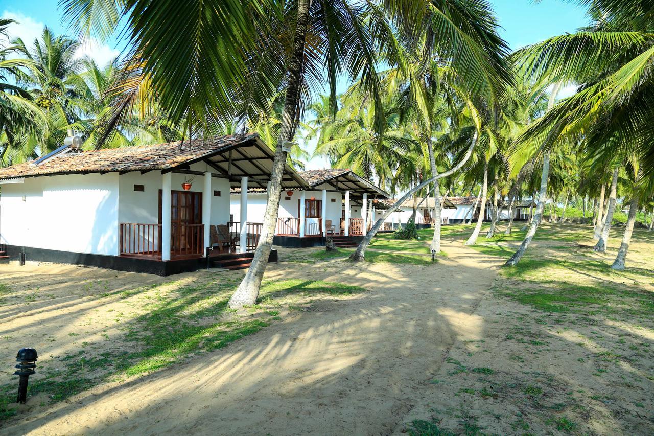 Darwins Beach Resort 坦加拉 外观 照片
