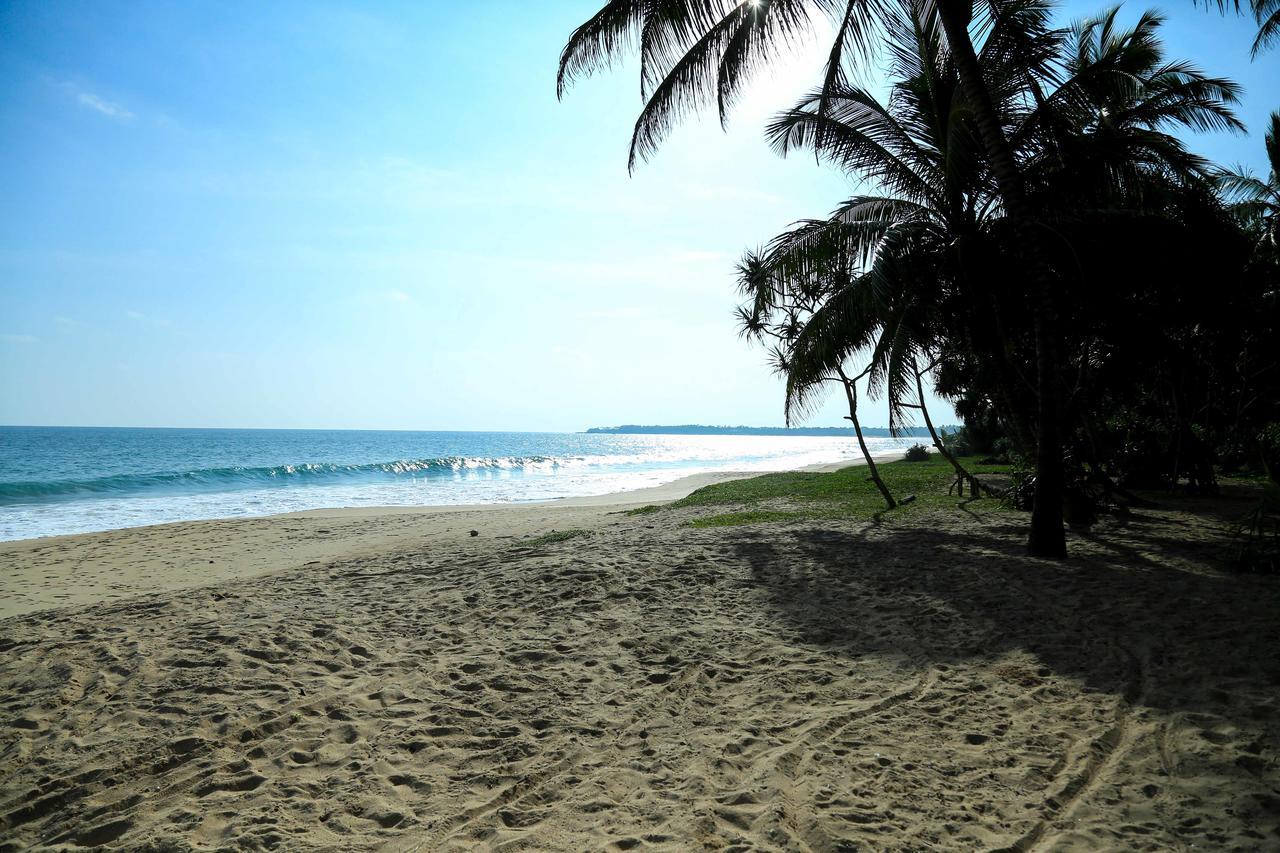 Darwins Beach Resort 坦加拉 外观 照片