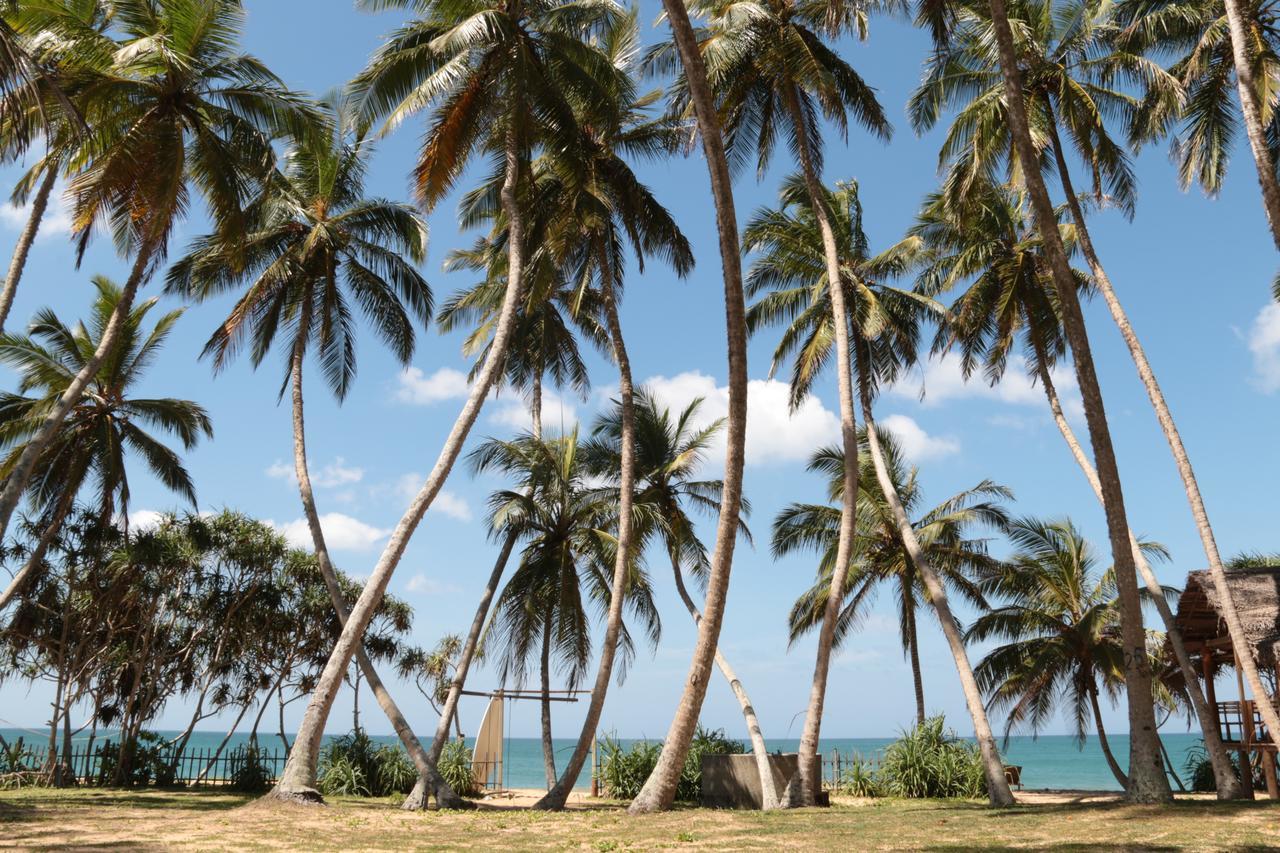 Darwins Beach Resort 坦加拉 外观 照片