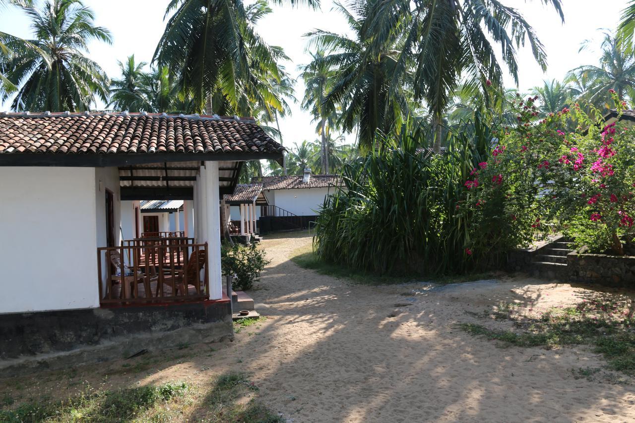 Darwins Beach Resort 坦加拉 外观 照片
