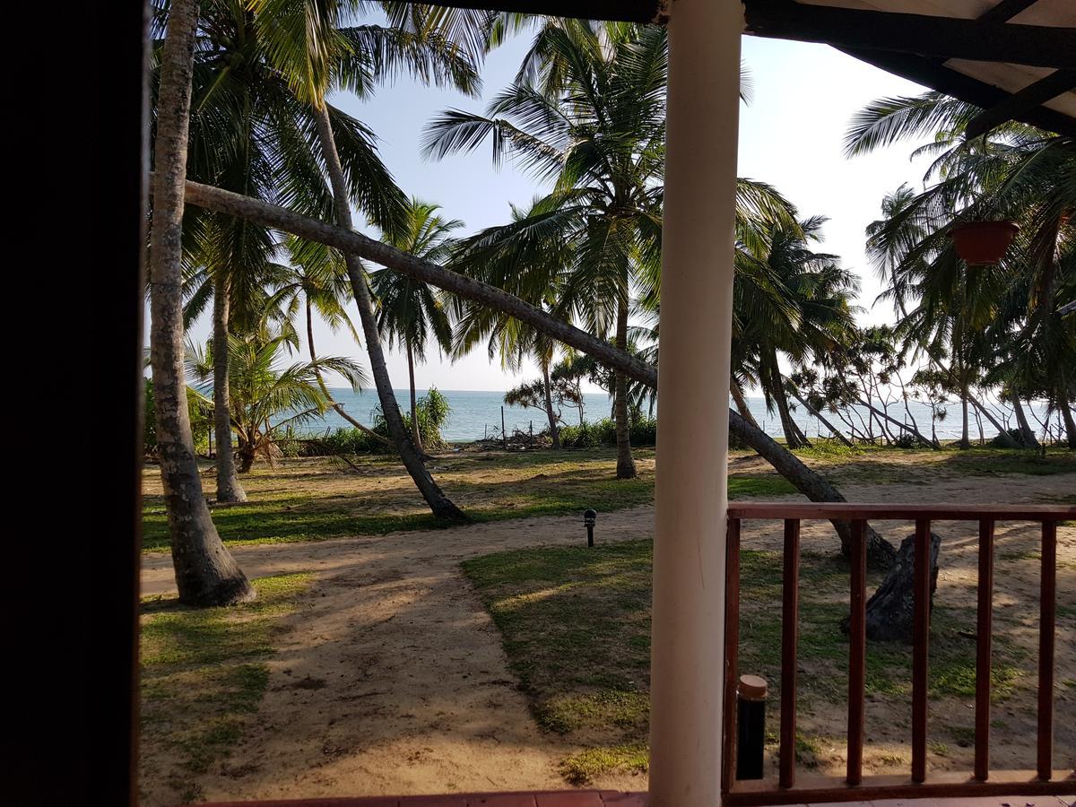 Darwins Beach Resort 坦加拉 外观 照片