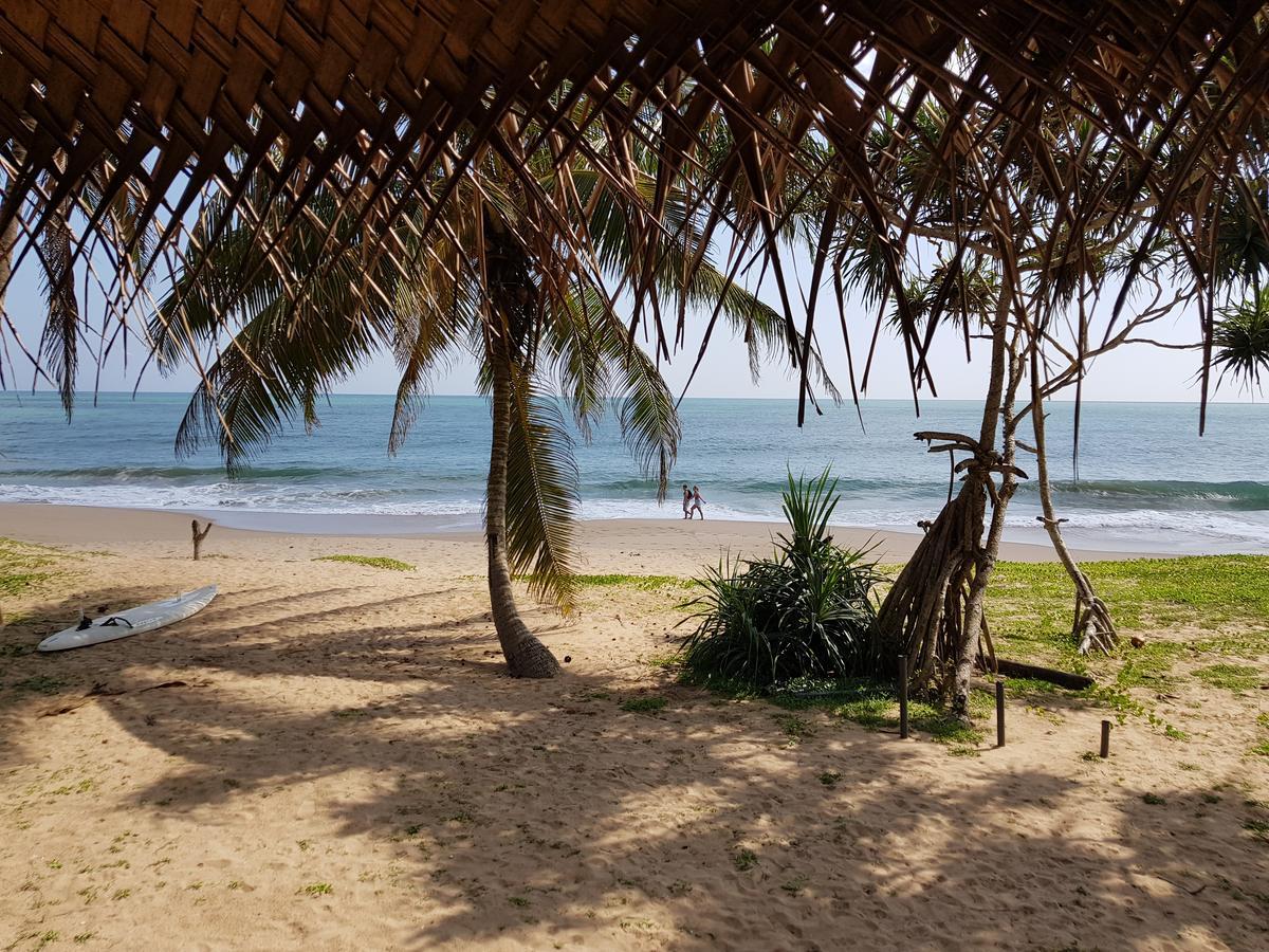 Darwins Beach Resort 坦加拉 外观 照片